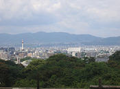 IMG 6425