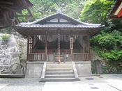 IMG 6431