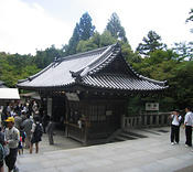 IMG 6434