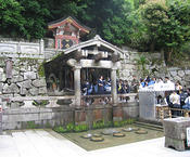 IMG 6435