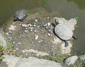 IMG 6439