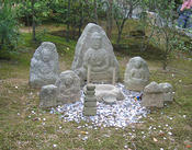 IMG 6452