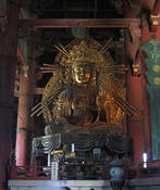 IMG 6531