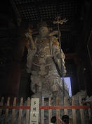 IMG 6543