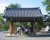 IMG 6584