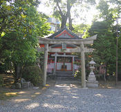 IMG 6599