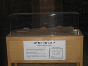 IMG 6767