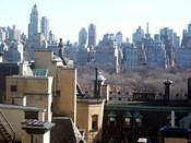 from my window