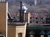 from my window 2