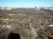 looking north from apt Central Park South