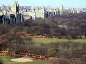 sheep meadow from above
