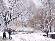 CP72ndSt FromAcrossStreet2 26