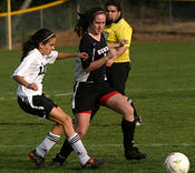 molly 2 4 2005 2