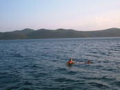 DSCF0437