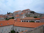 DSCF0447