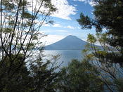IMG 0619