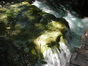 DSCN0041