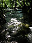 DSCN0042
