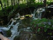 DSCN0044