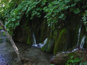 DSCN0045