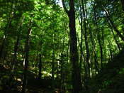 DSCN0046