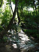 DSCN0047