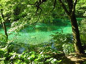 DSCN0052