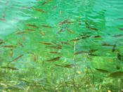 DSCN0058
