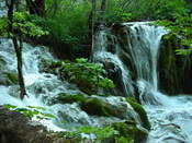 DSCN0062