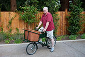 Pashley2
